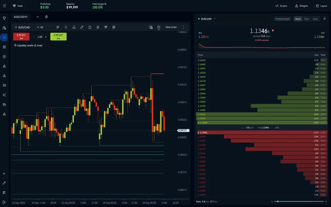 The MyTrader platform: a candlestick chart beside a market depth ladder